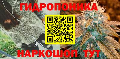 ECSTASY Обь