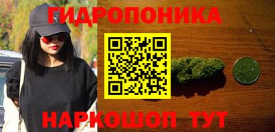 ECSTASY Обь