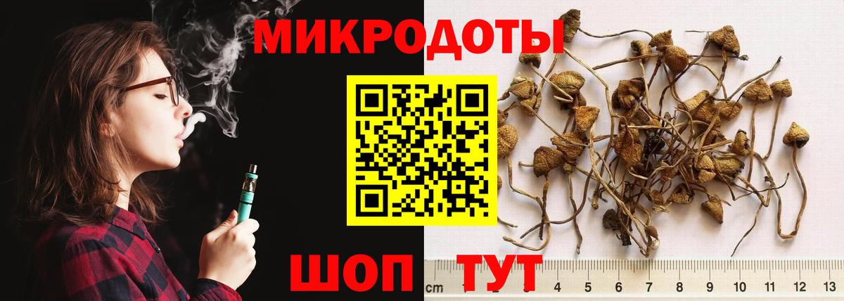 Сланцы  Галлюциногенные грибы Magic Shrooms  Псилоцибиновые грибы мухоморы  Вход с VPN 